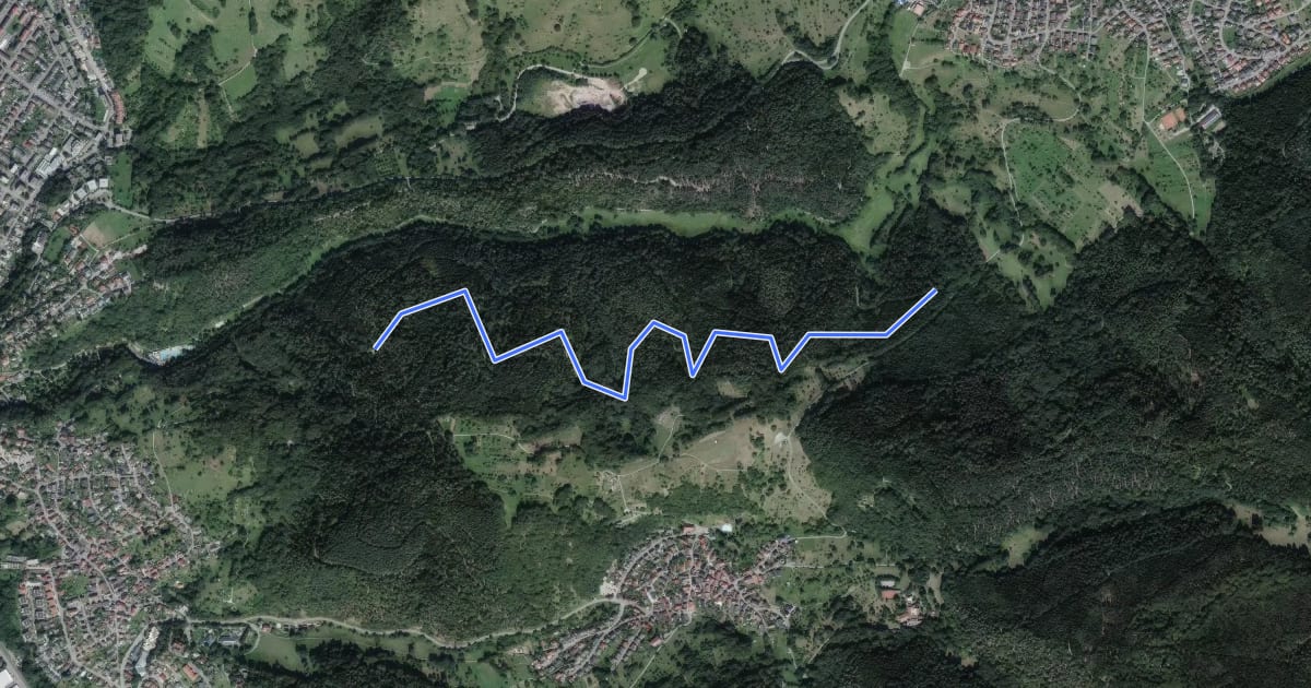 Маршрут Käferplatte - Schwannwald на спутниковом снимке