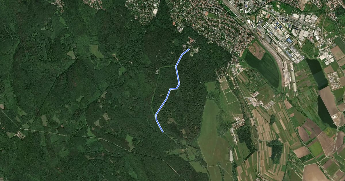 Маршрут K+ (Hotel Lővér aut. m. – Sípálya – Bögre-forrás) на спутниковом снимке