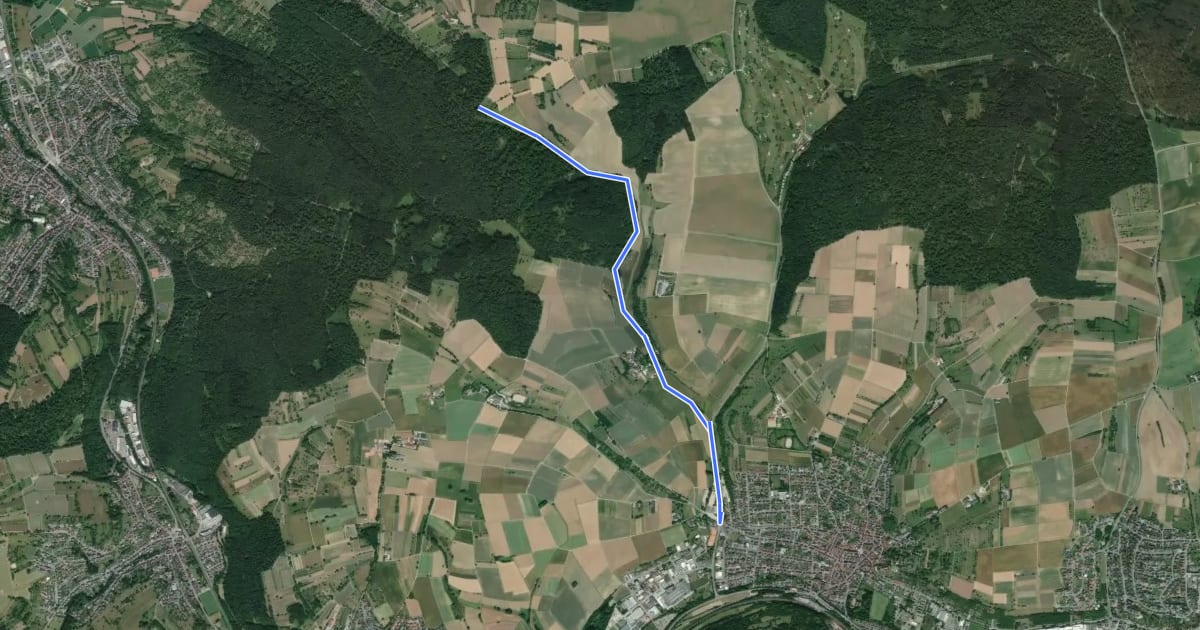 Маршрут Königsbach Reitplatz - Löchlewald Kreuz на спутниковом снимке