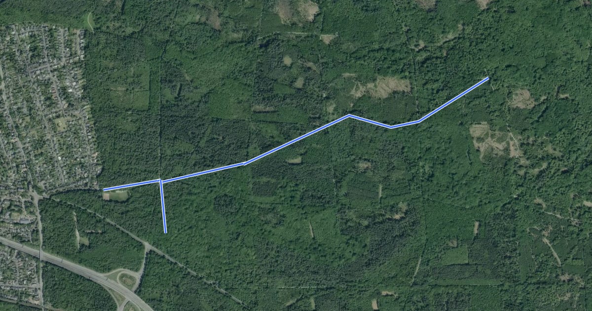 Маршрут Königsforst Rundweg A1 на спутниковом снимке