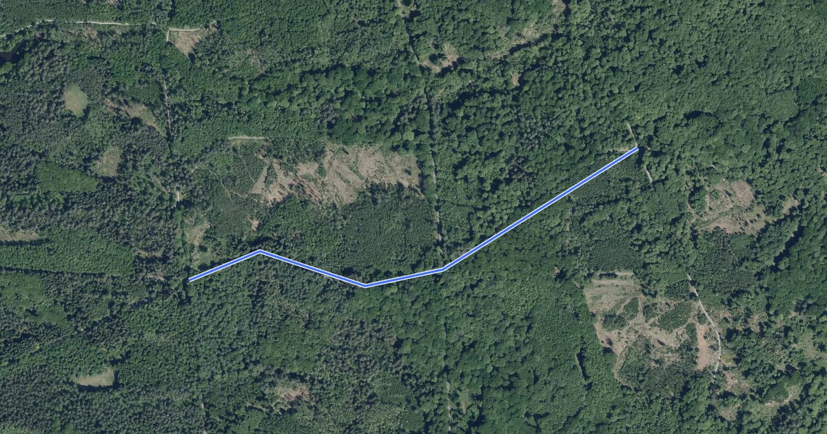Маршрут Königsforst Rundweg A3 на спутниковом снимке