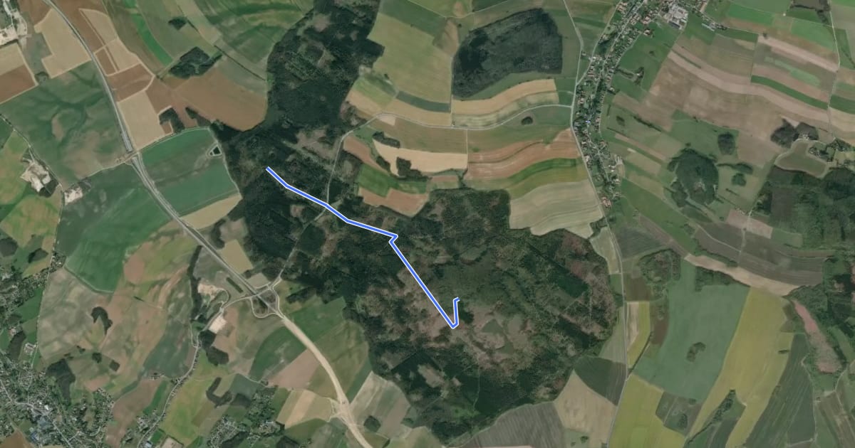 Маршрут Königsholz: Batzenhütte - Sonnenhübel (grüner Strich) на спутниковом снимке