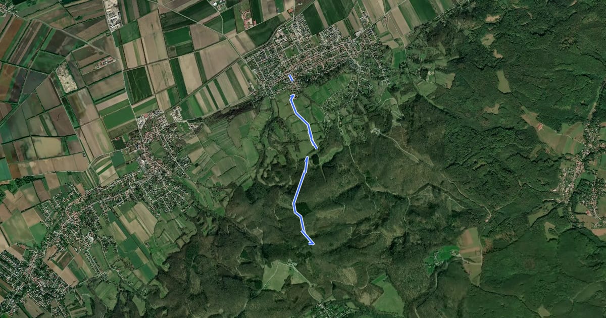 Маршрут Königstetten - Tulbinger Kogel/Leopold-Figl-Warte на спутниковом снимке