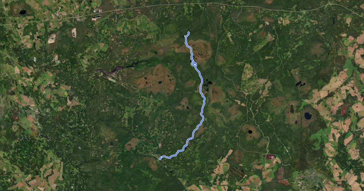 Маршрут Kõnnu Suursoo trail на спутниковом снимке