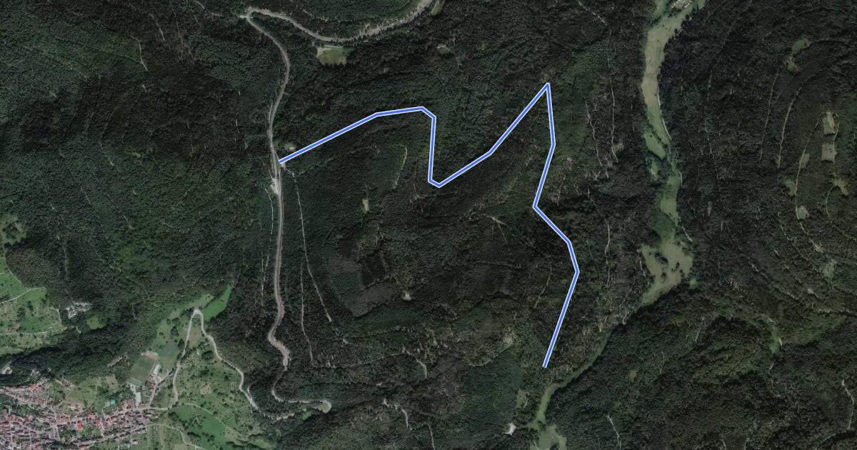 Маршрут Käppele Wanderparkplatz - Rißwasen на спутниковом снимке