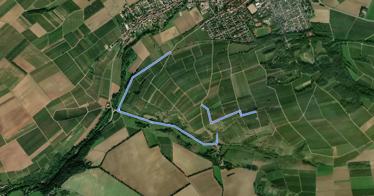 Маршрут Küstenweg 3: Rundweg Flonheim на спутниковом снимке