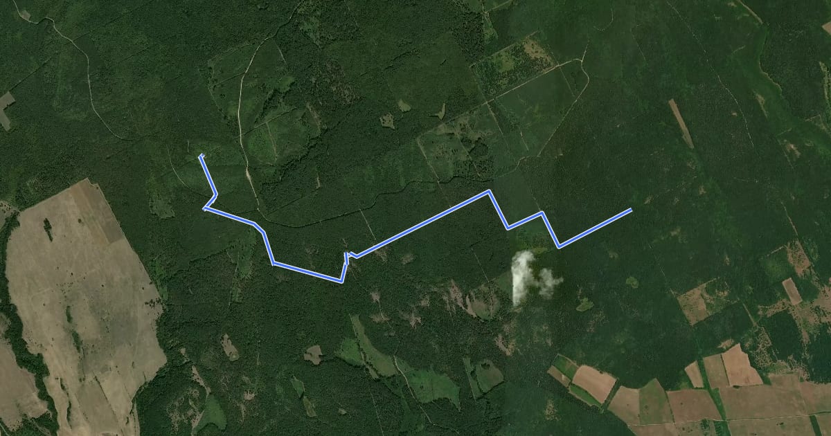 Маршрут K3 (Molnár Gábor-kilátó) на спутниковом снимке