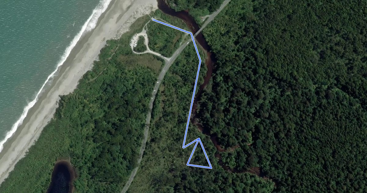 Маршрут Kahikatea Swamp Forest Walk на спутниковом снимке