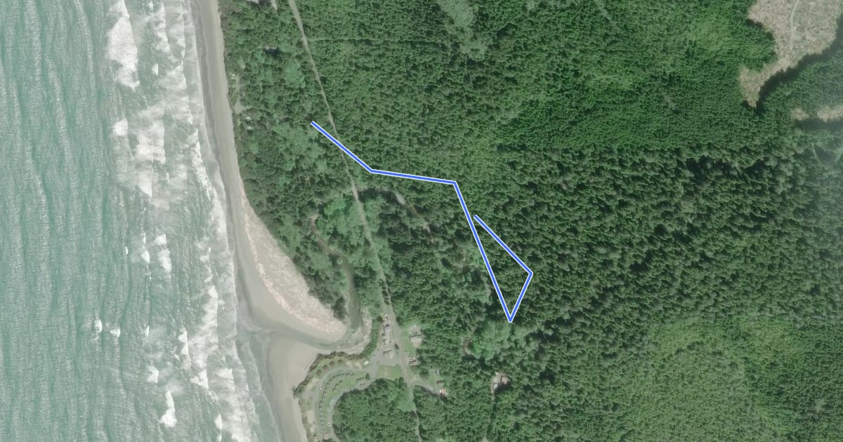 Маршрут Kalaloch Creek Nature Trail на спутниковом снимке