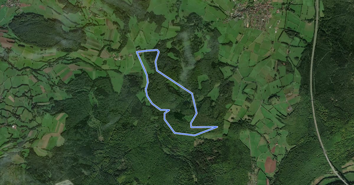 Маршрут Kalbach Wanderweg Sparhof 7 на спутниковом снимке