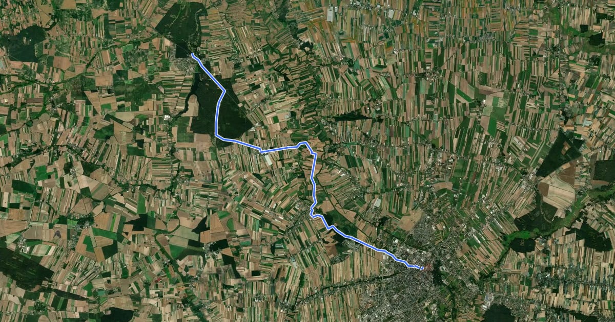 Маршрут Kalisz - Gołuchów на спутниковом снимке