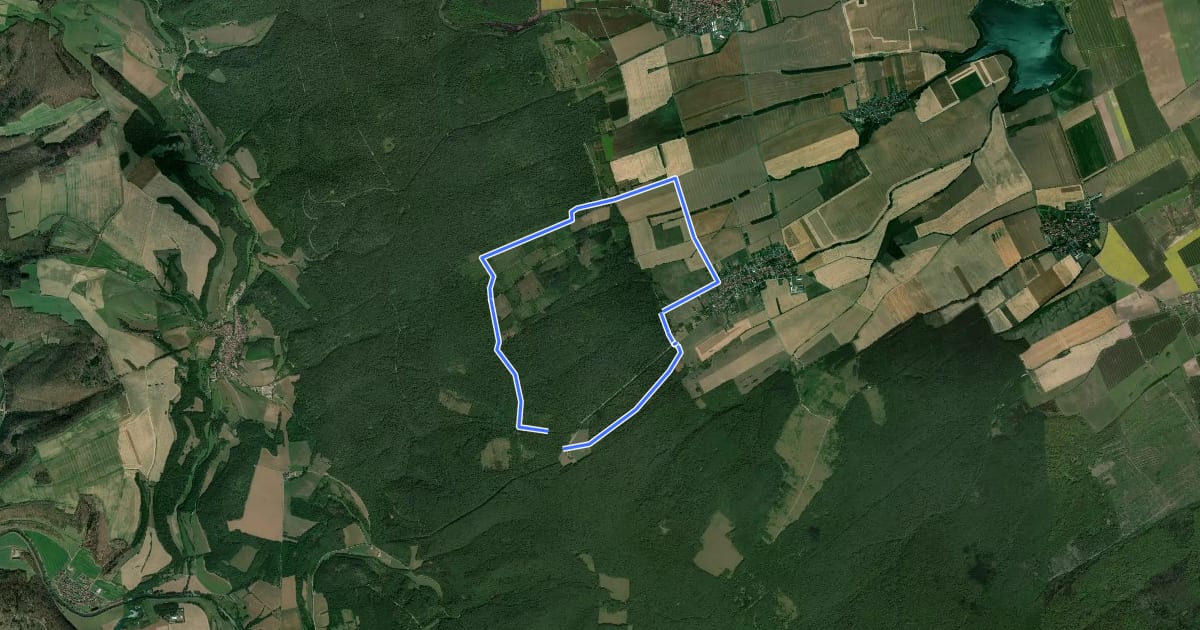 Маршрут Kammerforster Rundweg Nr.1 на спутниковом снимке