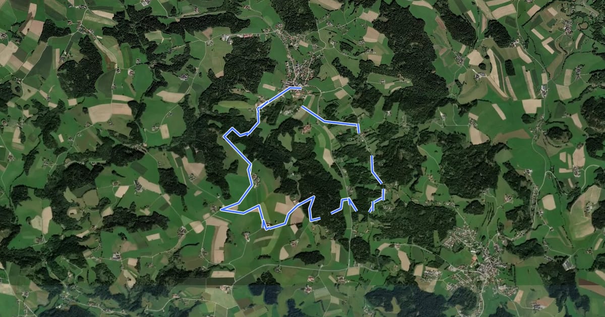 Маршрут Kapellen-Hansberg-Weg на спутниковом снимке