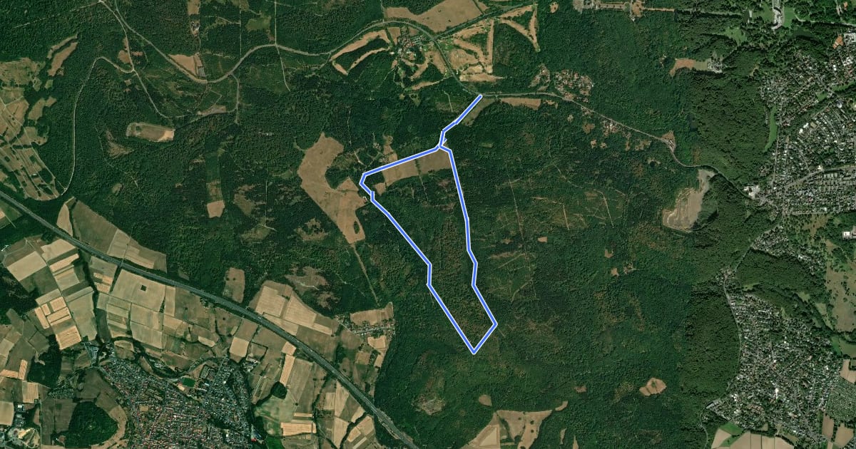 Маршрут Kassel-Wilhelmshöhe, Rundweg 12 на спутниковом снимке