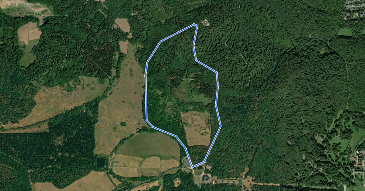 Маршрут Kassel - Wilhelmshöhe, Rundweg 14 на спутниковом снимке