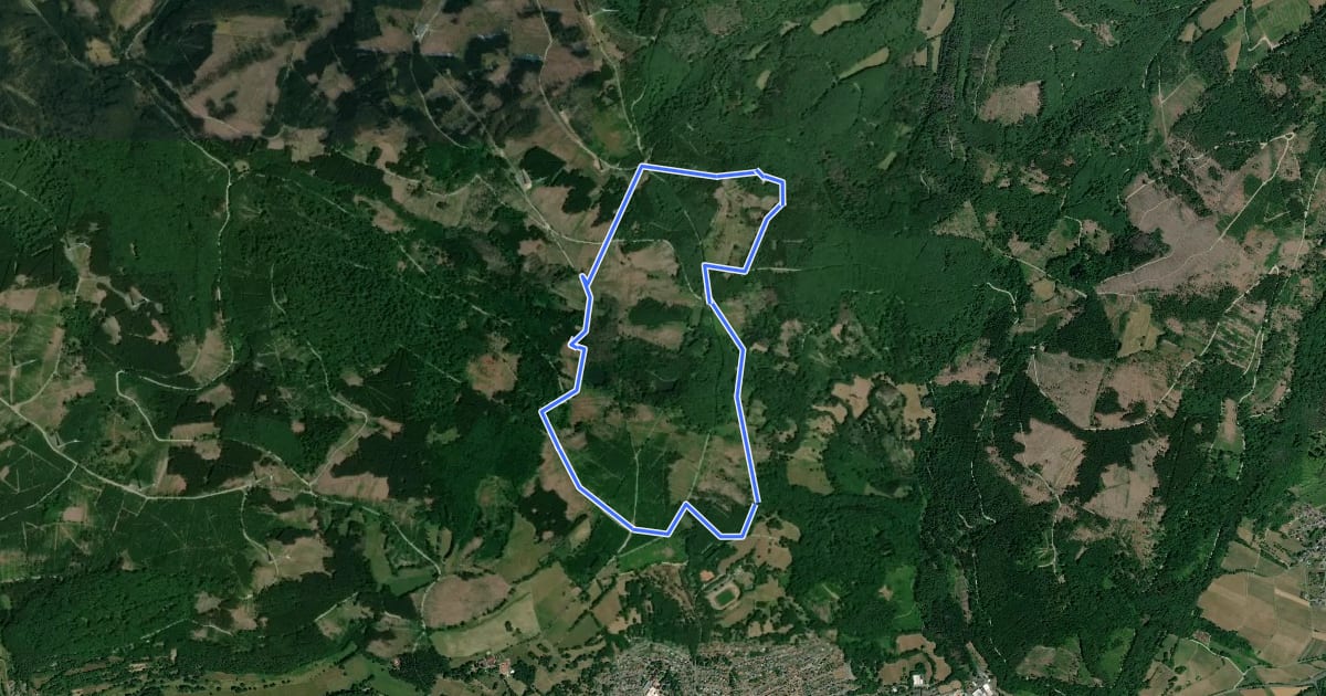 Маршрут Kaufunger Wald, Rundweg 11 - Steinberg на спутниковом снимке