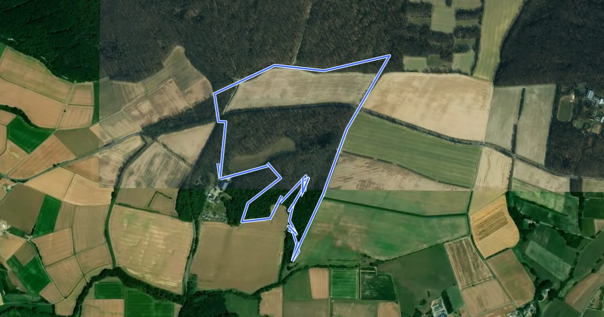 Маршрут Kaufunger Wald, Rundweg 30 - Gut Windhausen на спутниковом снимке