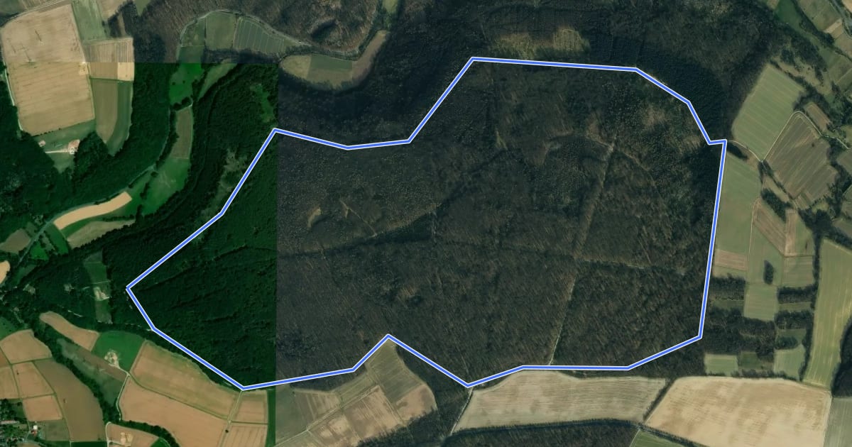 Маршрут Kaufunger Wald, Rundweg 31 - Mühlenberg на спутниковом снимке
