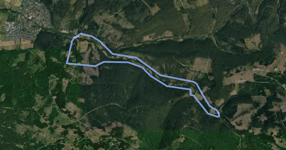 Маршрут Kaufunger Wald, Rundweg 7 - Gläsnertal на спутниковом снимке