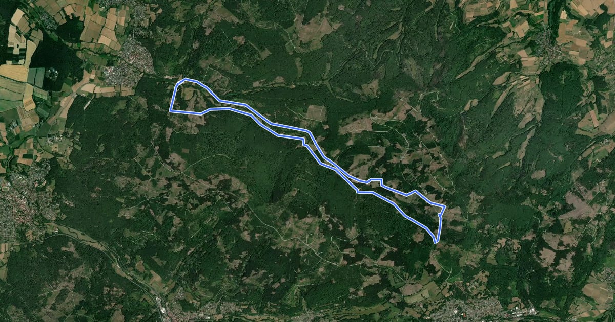 Маршрут Kaufunger Wald, Rundweg 8 - Bilsteinrundweg Nieste на спутниковом снимке