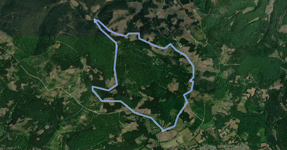 Маршрут Kaufunger Wald, Rundweg 9 - Schwarzbach на спутниковом снимке
