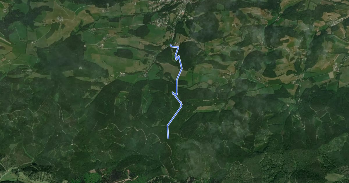 Маршрут Kaumberg - Annaquelle - Weitwanderweg 404 на спутниковом снимке