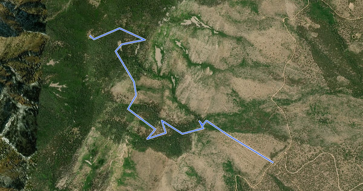 Маршрут Kayser Mill Trail на спутниковом снимке