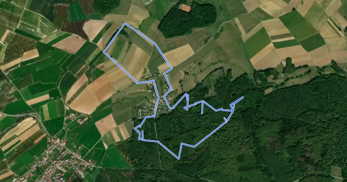 Маршрут Keßlingen 1309 на спутниковом снимке