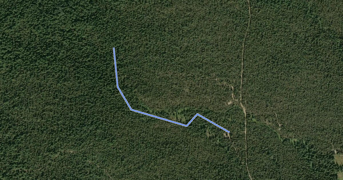 Маршрут Keenes Trail #120 на спутниковом снимке
