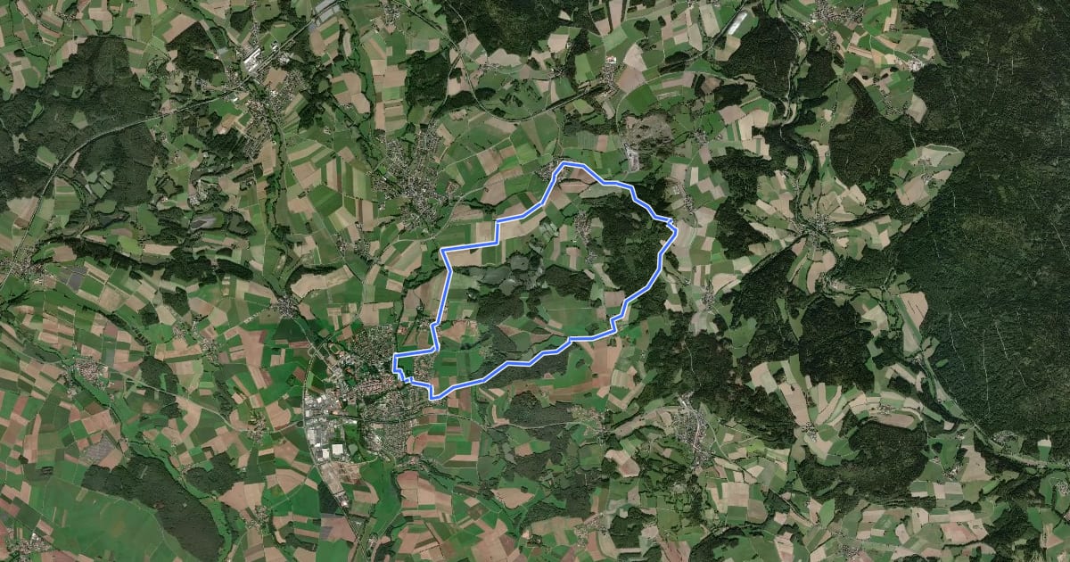 Маршрут Kemnather Rundwanderweg Nr. 1 на спутниковом снимке