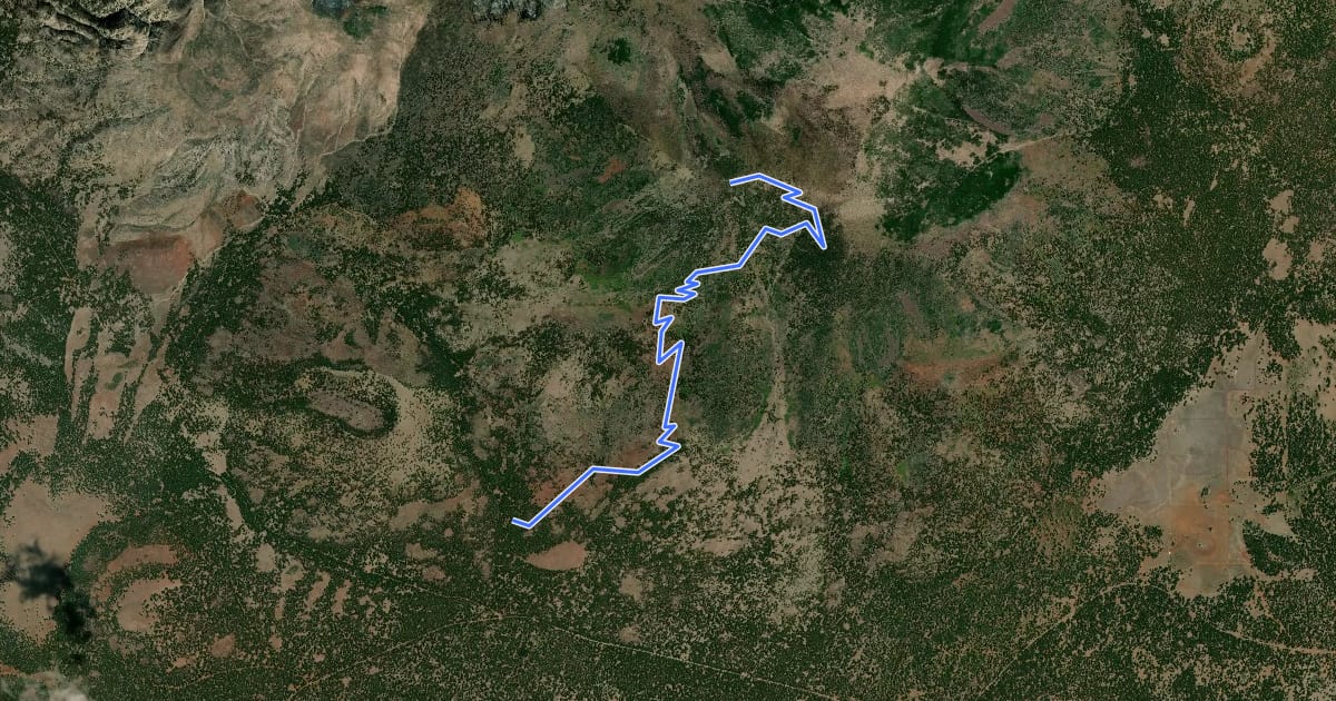 Маршрут Kendrick Mountain Trail на спутниковом снимке