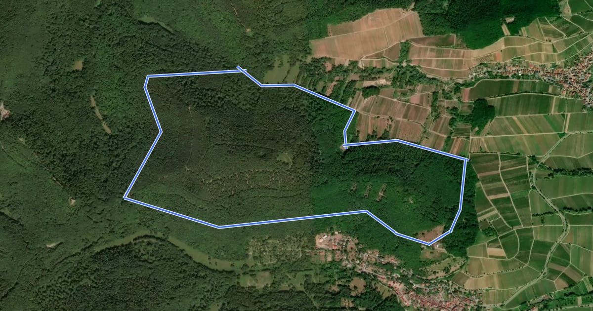 Маршрут Keschde Erlebnisweg на спутниковом снимке