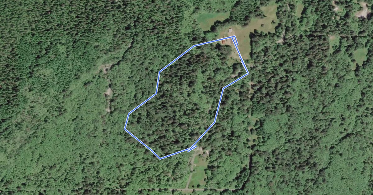 Маршрут Kestner Homestead Trail на спутниковом снимке