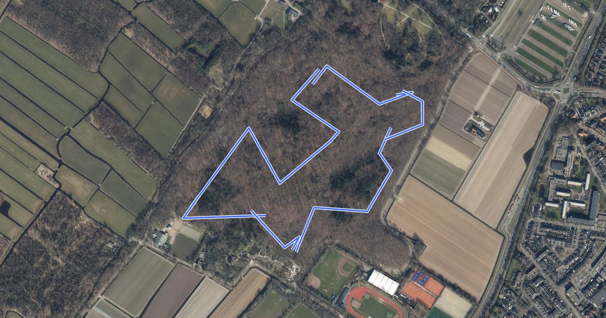 Маршрут Keukenhofbosch paarse route на спутниковом снимке