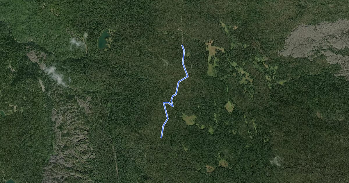 Маршрут Killen Connector Trail #113A на спутниковом снимке