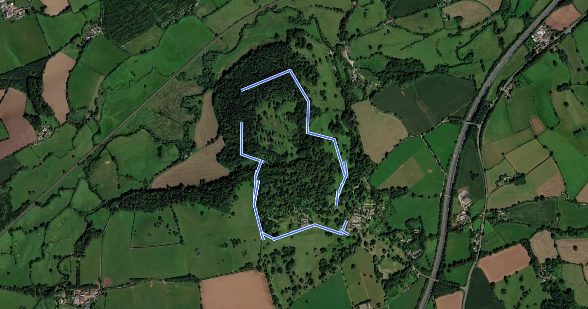Маршрут Killerton Dog Walk, Killerton на спутниковом снимке