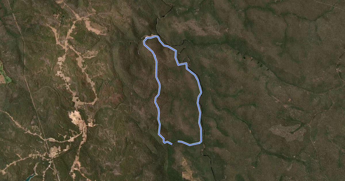 Маршрут King Jarrah Walk Trail на спутниковом снимке
