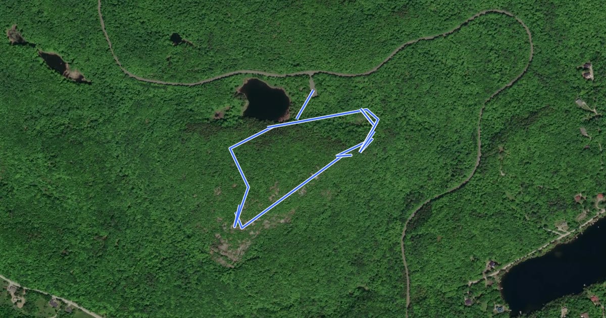Маршрут King Mountain Trail на спутниковом снимке
