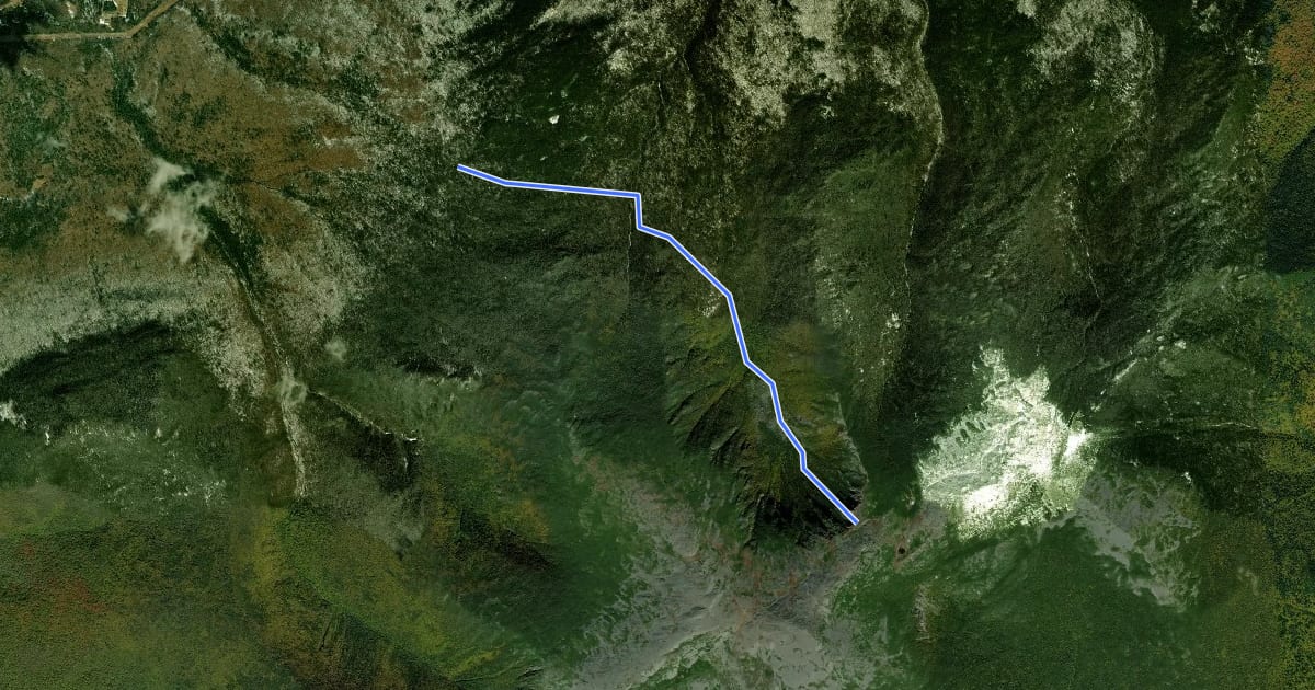 Маршрут King Ravine Trail на спутниковом снимке