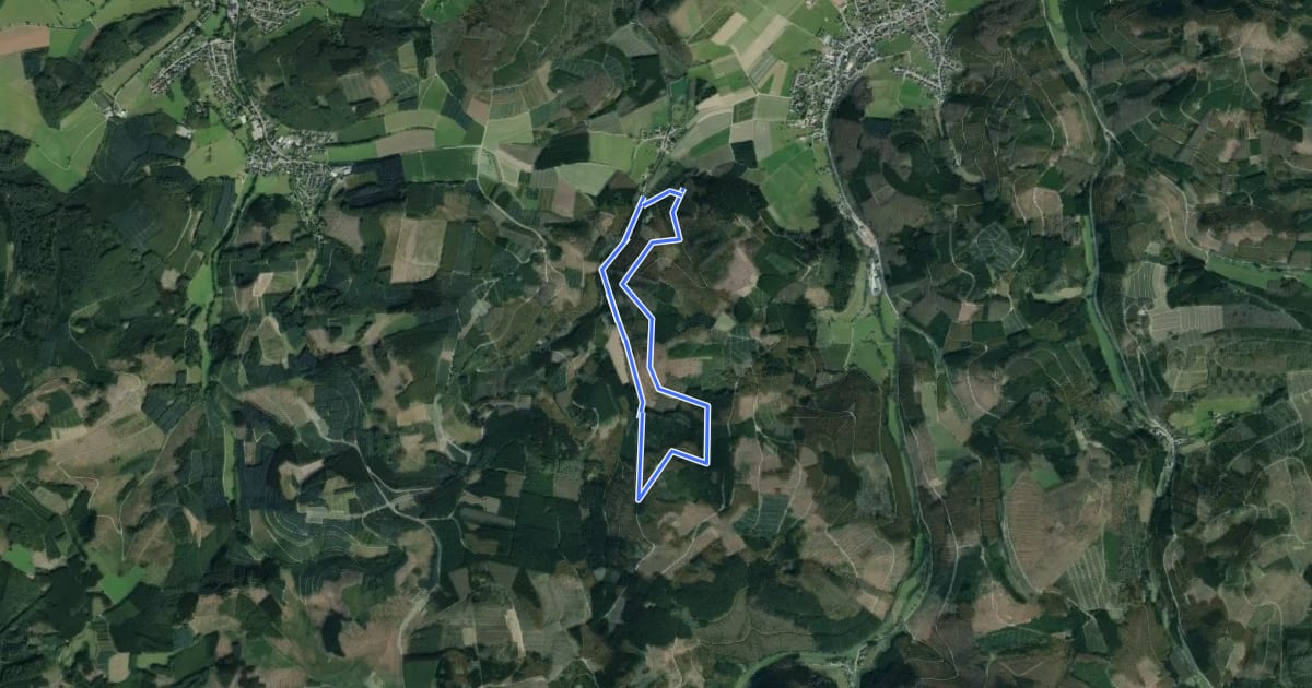 Маршрут Kingelsiepen Rundweg A1 на спутниковом снимке