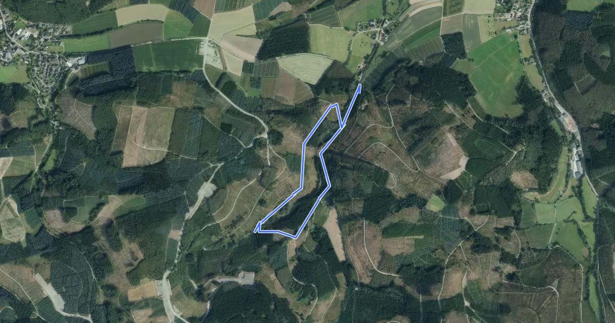 Маршрут Kingelsiepen Rundweg A4 на спутниковом снимке