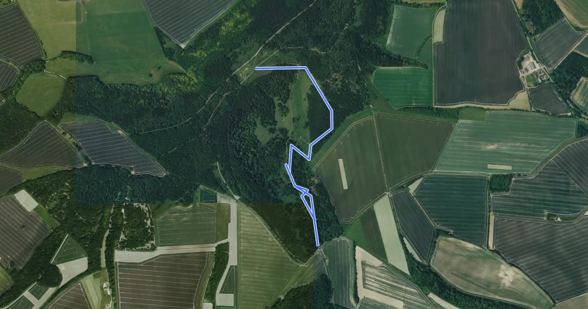 Маршрут Kingley Vale Nature Trail на спутниковом снимке