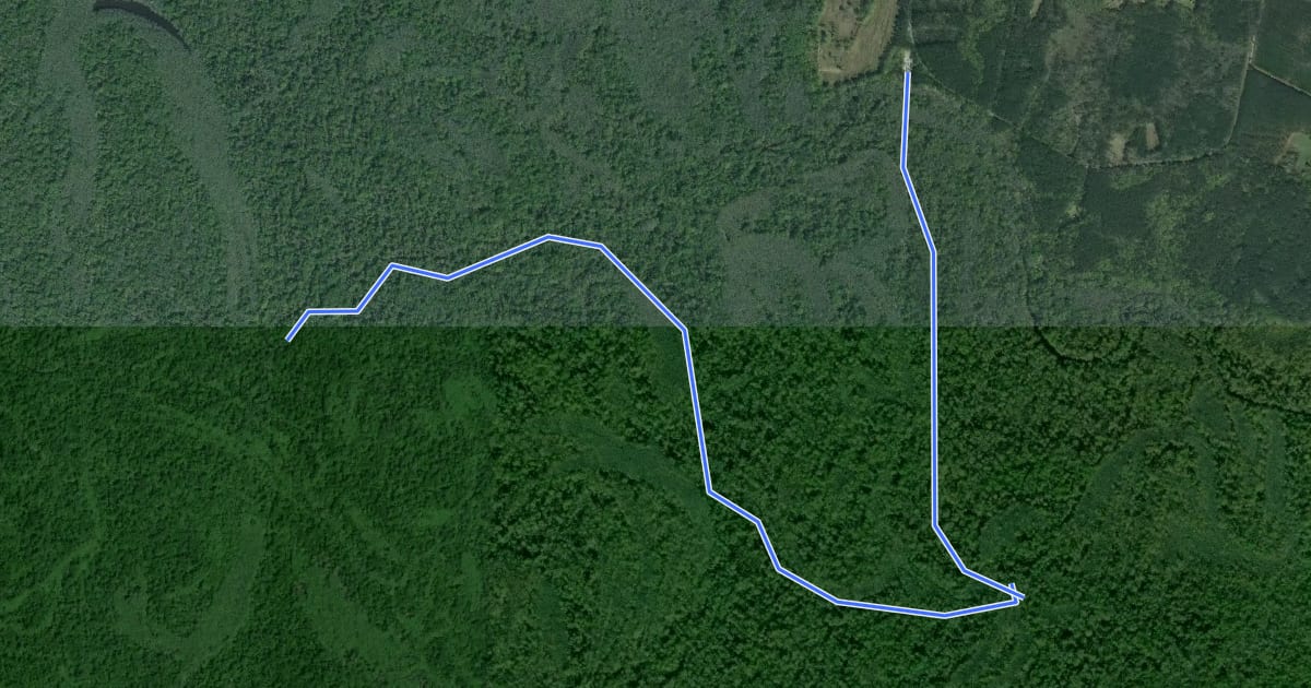 Маршрут Kingsnake Trail на спутниковом снимке