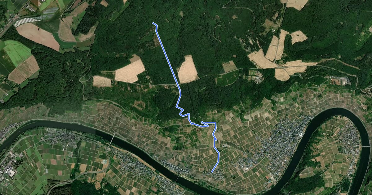 Маршрут Kinheim - Alftalhöhenweg на спутниковом снимке