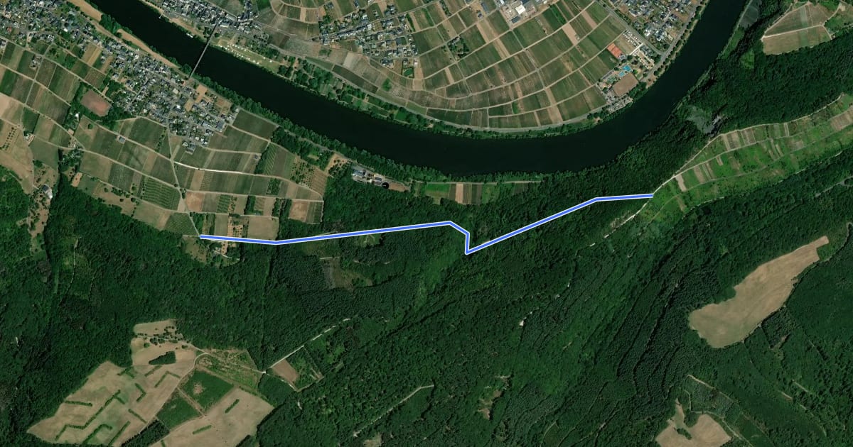Маршрут Kinheim-Kindel Grillhütte"Am Römerhang" - Anschluß Moselhöhenweg на спутниковом снимке