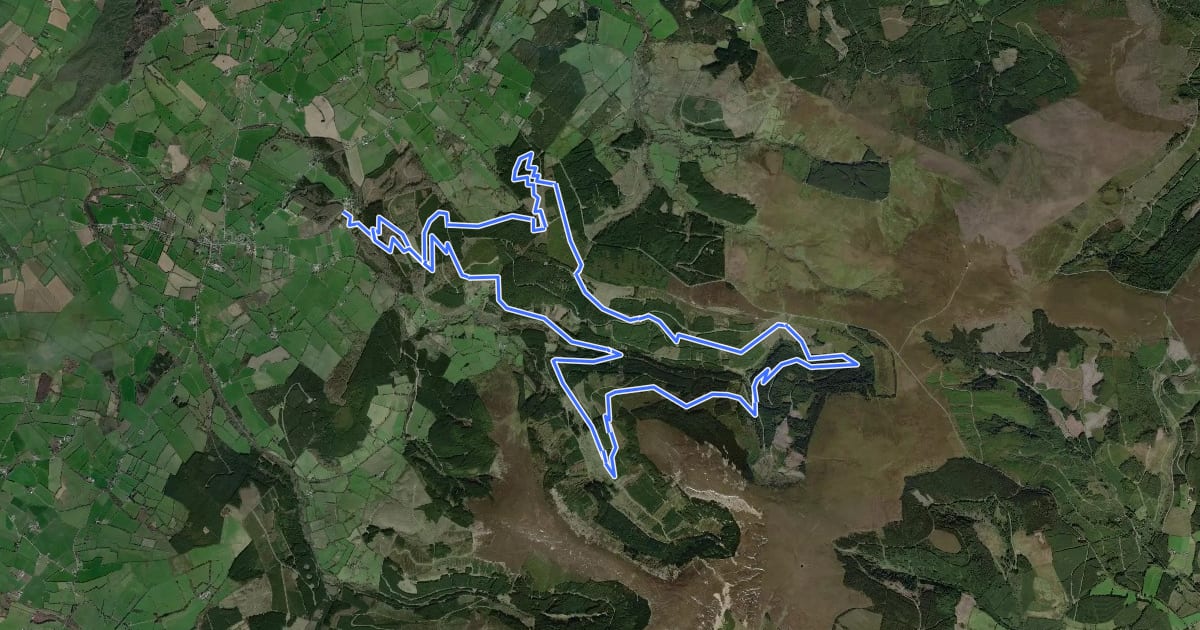Маршрут Kinnitty Mountain Top Route на спутниковом снимке