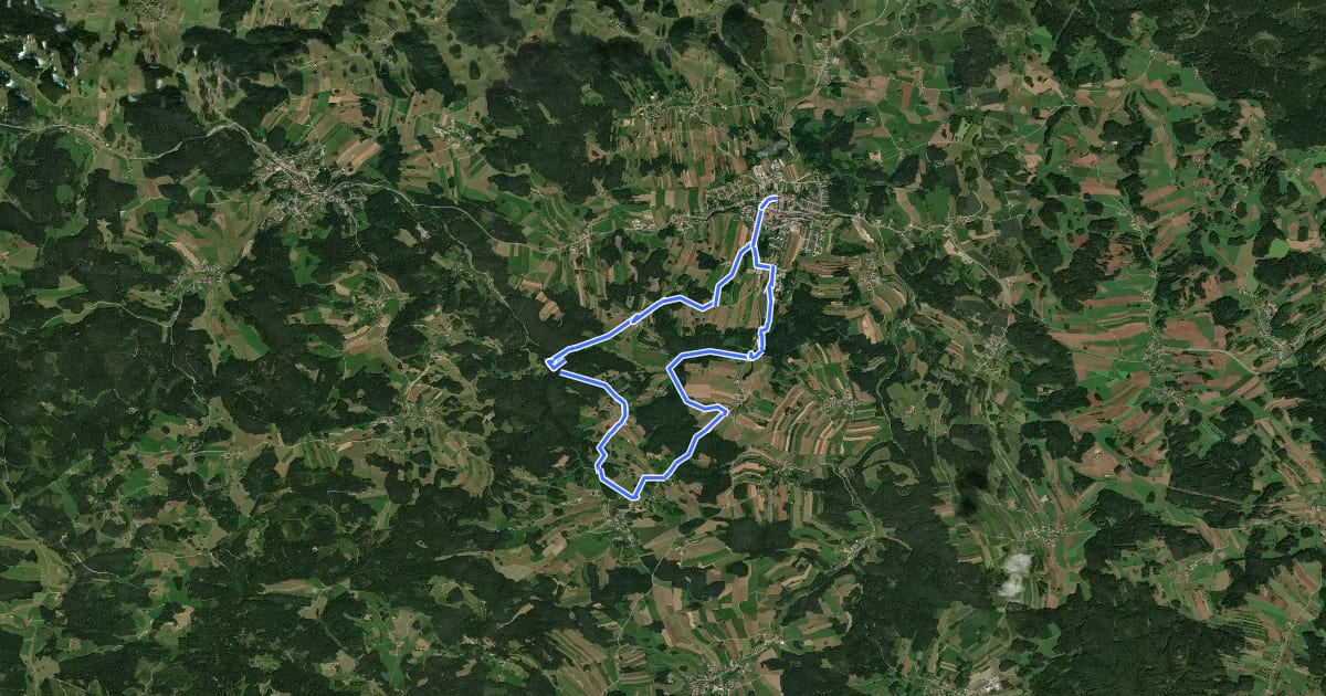 Маршрут Kinzenschlag-Wanderweg 42 на спутниковом снимке