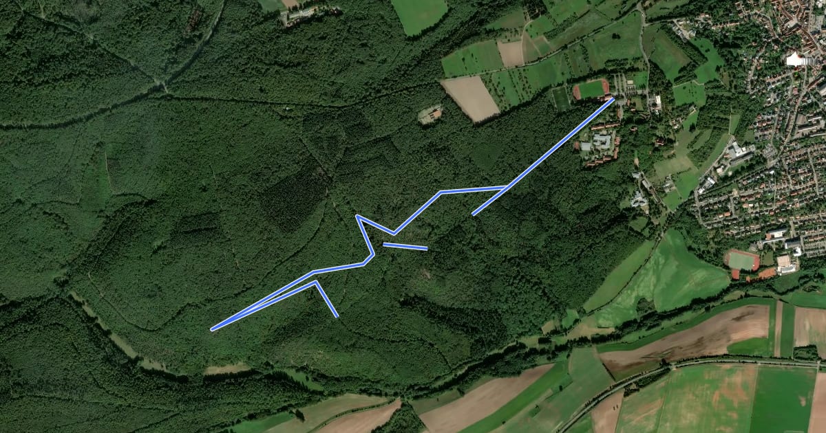 Маршрут Kirchheim-Bolanden Rundwanderweg Nr. 5 на спутниковом снимке