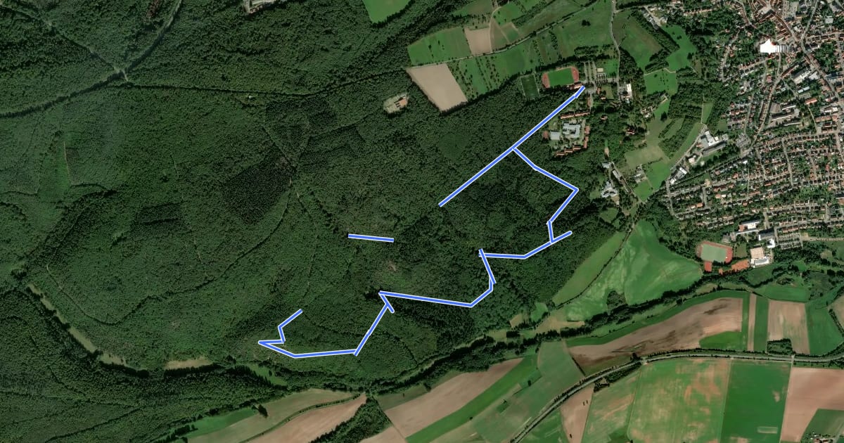 Маршрут Kirchheim-Bolanden Rundwanderweg Nr. 6 на спутниковом снимке