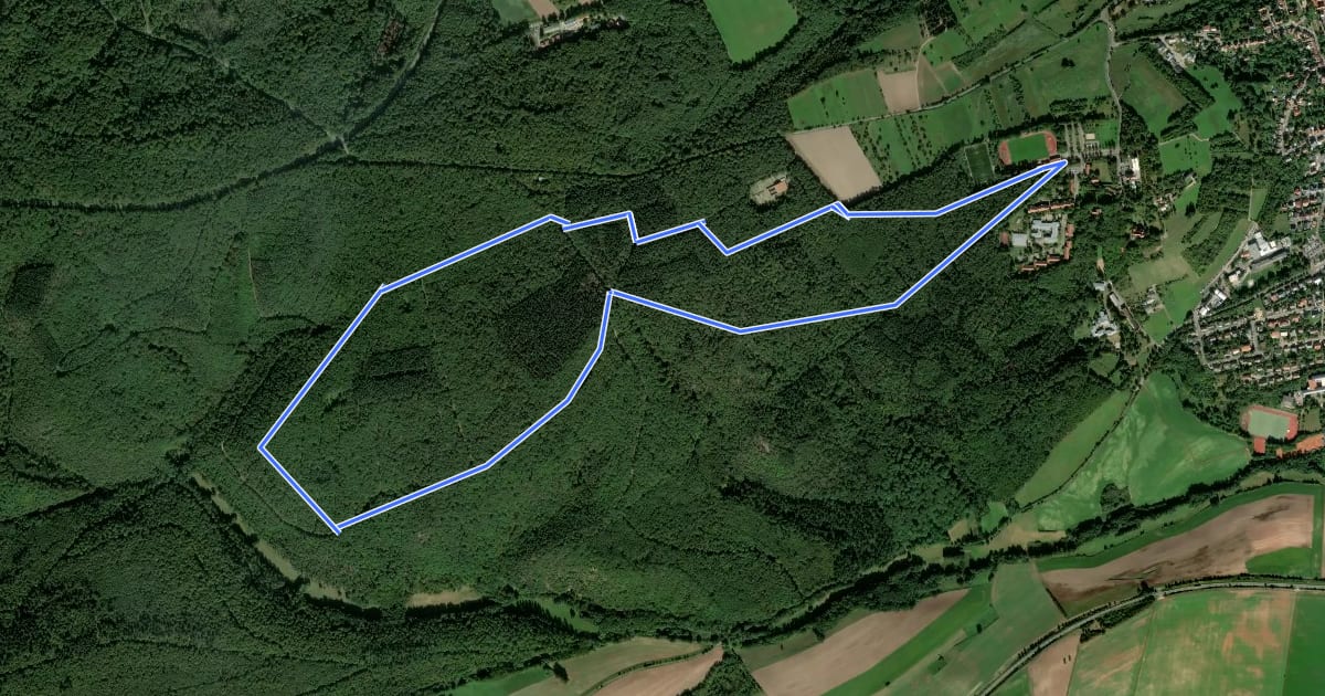 Маршрут Kirchheim-Bolanden Rundwanderweg Nr. 8 на спутниковом снимке